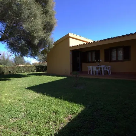 Oasi *