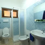 Oasi *