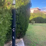 Oasi *