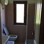 Oasi