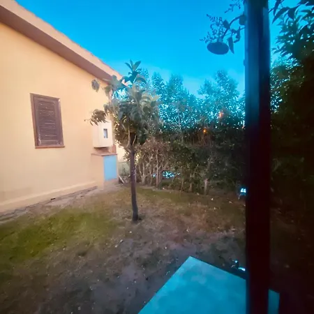 Oasi